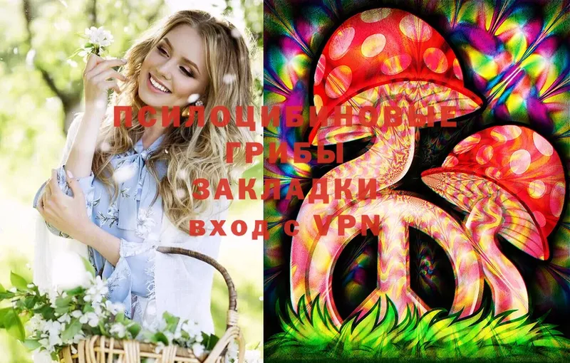 Псилоцибиновые грибы Psilocybe  Аргун 